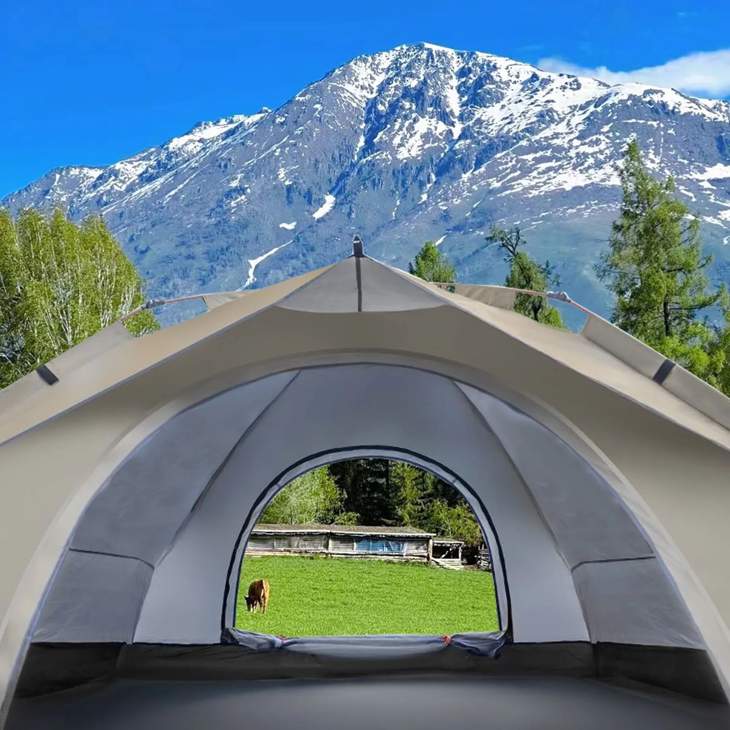 Tente pop-up à ouverture automatique